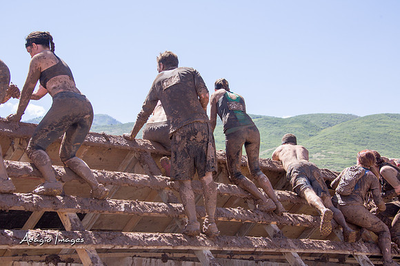 Spartan Beast - Castorus Maximus