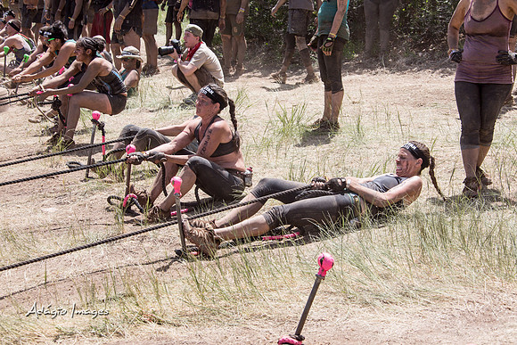 Spartan Beast - Castorus Maximus