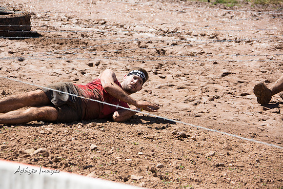Spartan Beast - Castorus Maximus