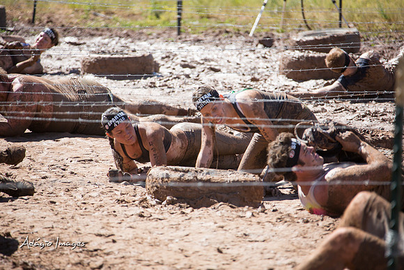Spartan Beast - Castorus Maximus