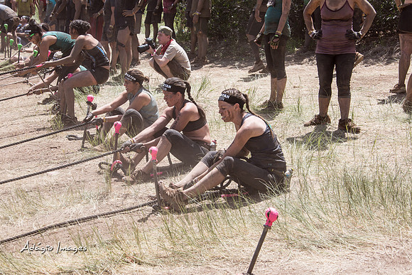 Spartan Beast - Castorus Maximus