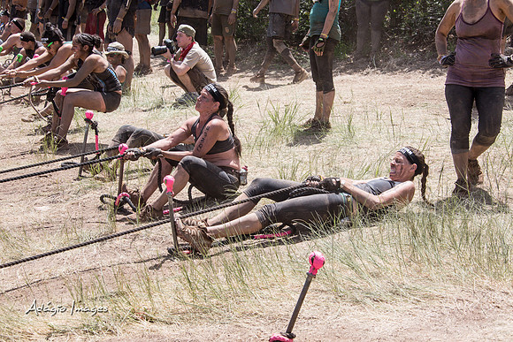 Spartan Beast - Castorus Maximus