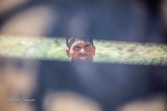 Spartan Beast - Castorus Maximus