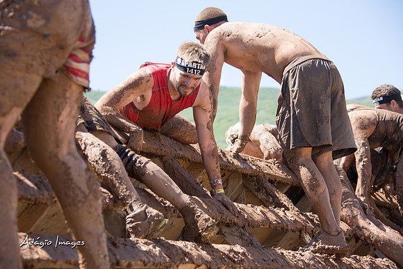 Spartan Beast - Castorus Maximus