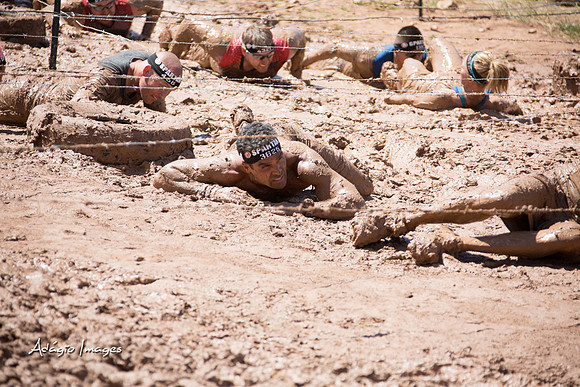 Spartan Beast - Castorus Maximus