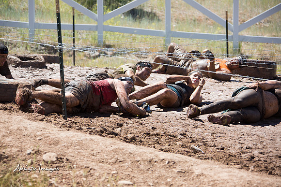 Spartan Beast - Castorus Maximus