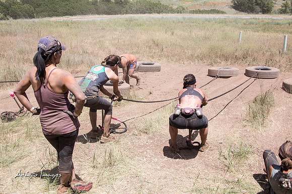 Spartan Beast - Castorus Maximus