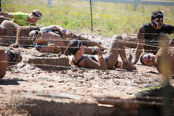 Spartan Beast - Castorus Maximus
