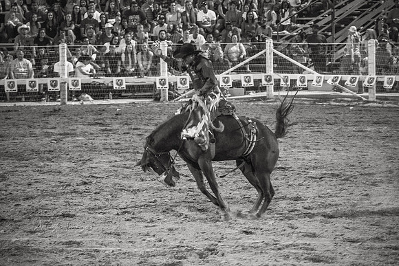 180621_Rodeo_252