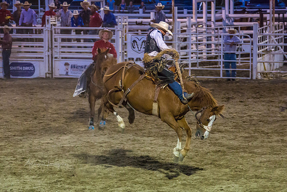 180621_Rodeo_307