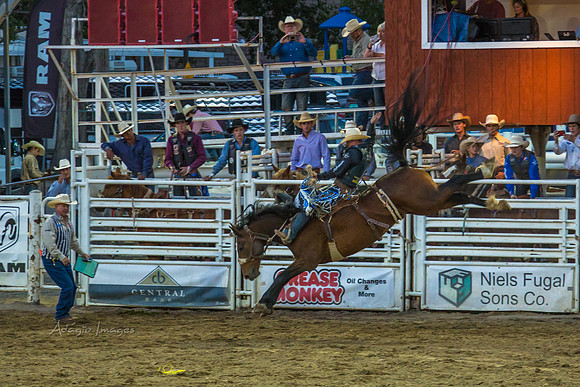 180621_Rodeo_148