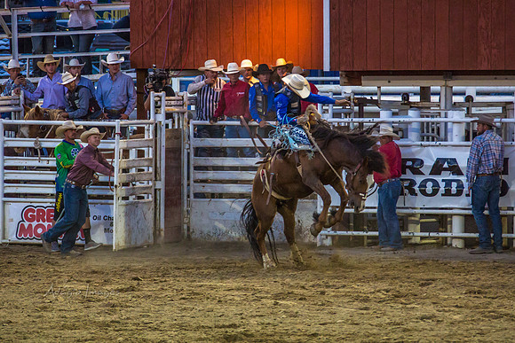 180621_Rodeo_186