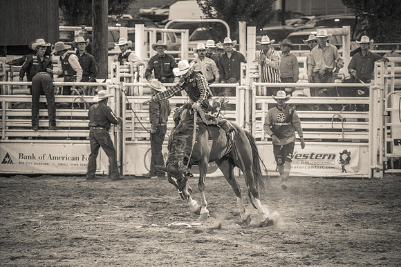 180621_Rodeo_217
