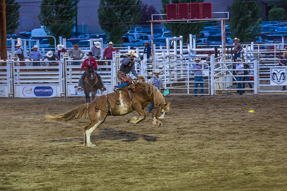 180621_Rodeo_208