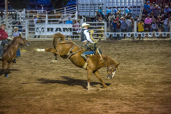 180621_Rodeo_308