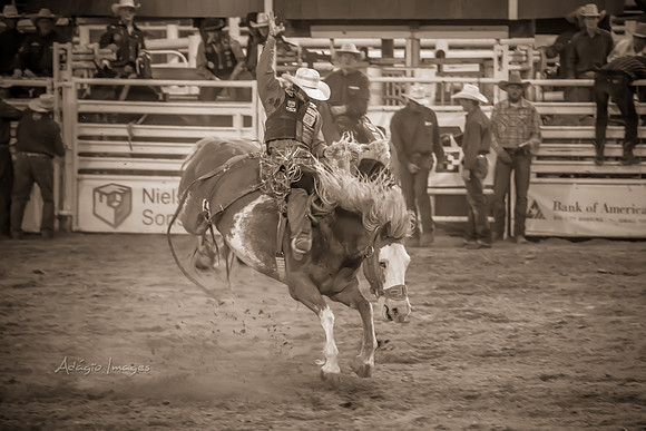 180621_Rodeo_204