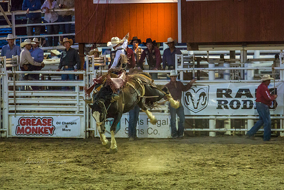 180621_Rodeo_277