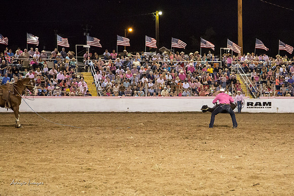 Dixie Roundup Rodeo 2013
