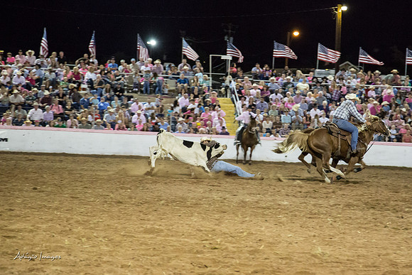 Dixie Roundup Rodeo 2013