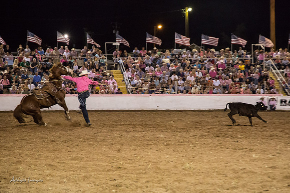 Dixie Roundup Rodeo 2013