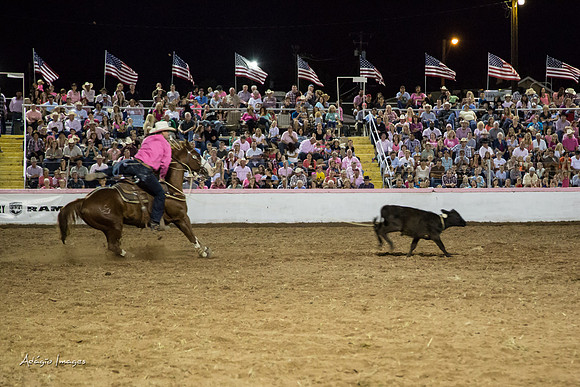 Dixie Roundup Rodeo 2013
