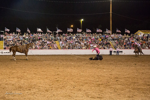 Dixie Roundup Rodeo 2013