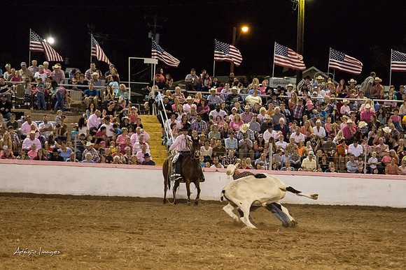 Dixie Roundup Rodeo 2013