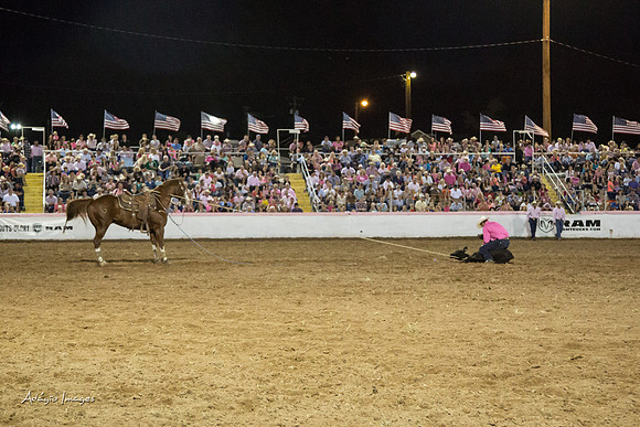 Dixie Roundup Rodeo 2013