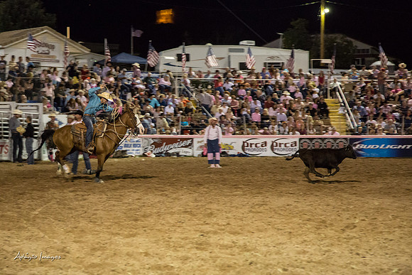 Dixie Roundup Rodeo 2013