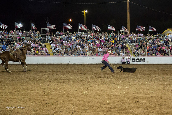 Dixie Roundup Rodeo 2013