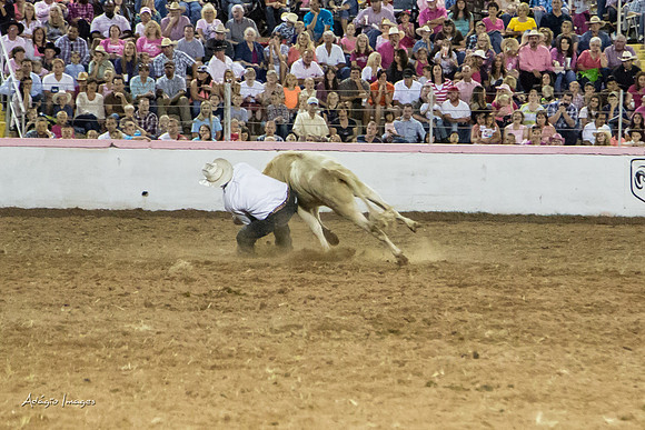 Dixie Roundup Rodeo 2013