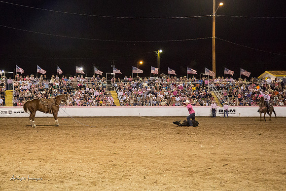 Dixie Roundup Rodeo 2013