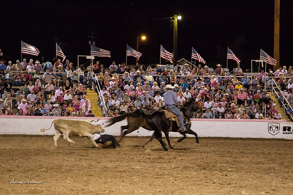 Dixie Roundup Rodeo 2013