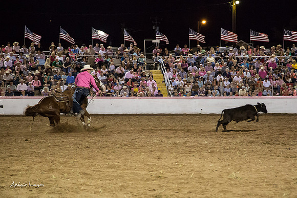 Dixie Roundup Rodeo 2013