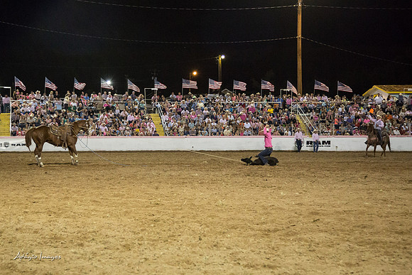 Dixie Roundup Rodeo 2013