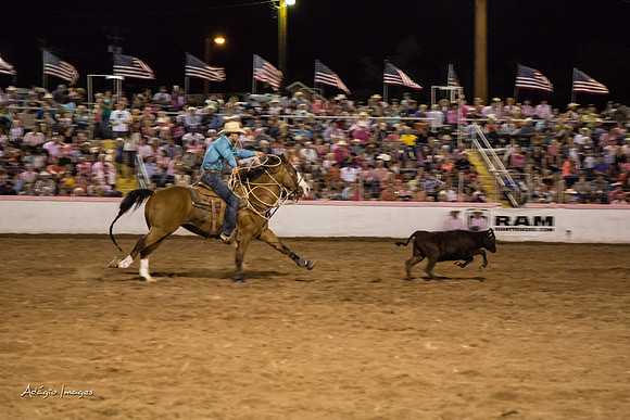 Dixie Roundup Rodeo 2013