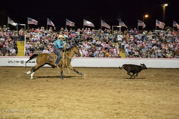 Dixie Roundup Rodeo 2013