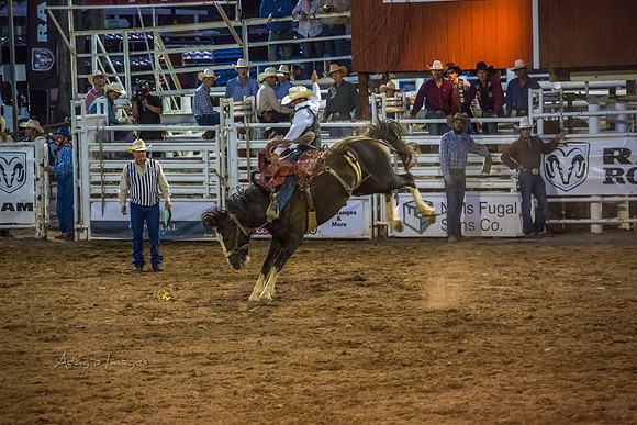 180621_Rodeo_279