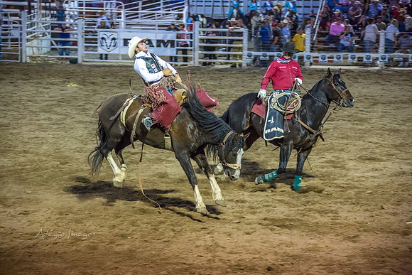 180621_Rodeo_290