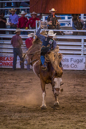 180621_Rodeo_203