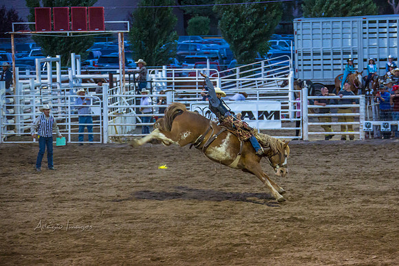 180621_Rodeo_211