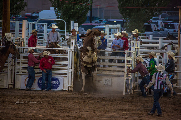 180621_Rodeo_163