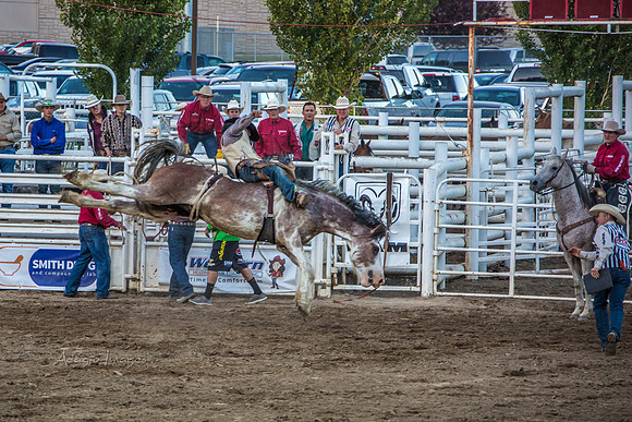 180621_Rodeo_045