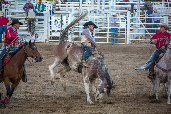 180621_Rodeo_055