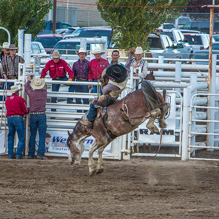 180621_Rodeo_047
