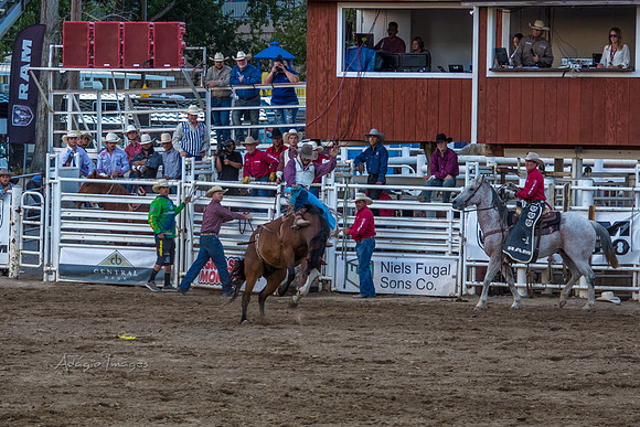 180621_Rodeo_058