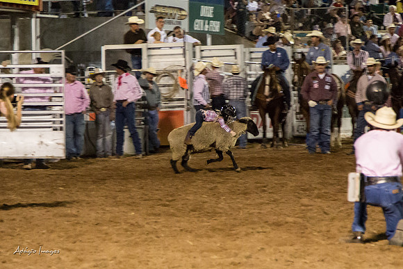 Dixie Roundup Rodeo 2013