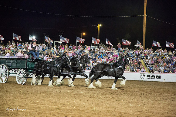 Dixie Roundup Rodeo 2013