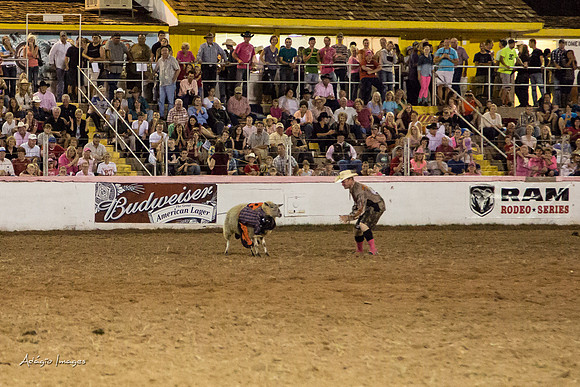 Dixie Roundup Rodeo 2013