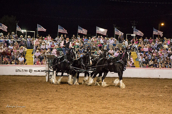 Dixie Roundup Rodeo 2013